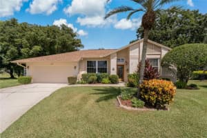 548 HOLLOWTREE PLACE, TARPON SPRINGS, FL 34688 Sold 12/03/24