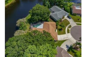 548 HOLLOWTREE PLACE, TARPON SPRINGS, FL 34688 Sold 12/03/24
