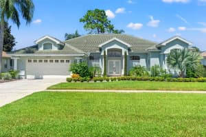 14223 CARLISLE DR DRIVE, SPRING HILL, FL 34609 Sold 01/02/25