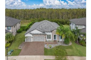 6126 MARSH TRAIL DRIVE, ODESSA, FL 33556 Sold 12/13/24