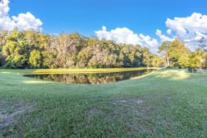 4623 PORTLAND MANOR DRIVE, NEW PORT RICHEY, FL 34655 Sold 11/20/24