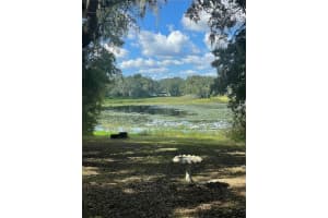 15113 KITTRELL DRIVE, SPRING HILL, FL 34610 Sold 03/17/25