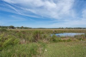 1321 PILGRIM ROAD, SPRING HILL, FL 34606 Sold 12/23/24