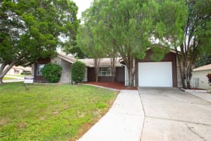 12412 PADDOCK LANE, HUDSON, FL 34667 Sold 02/17/25