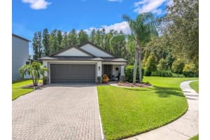 12476 LONGSTONE COURT, NEW PORT RICHEY, FL 34655 Sold 11/14/24