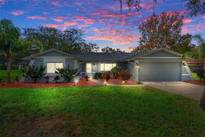 5374 BAFFIN CIRCLE, SPRING HILL, FL 34606 Sold 11/26/24