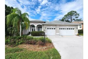 7387 BLUE SKIES DRIVE, SPRING HILL, FL 34606 Sold 11/27/24