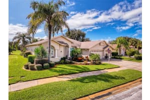 1149 ALANBROOKE STREET, TRINITY, FL 34655 Sold 02/12/25