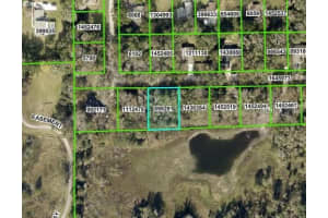 23136 FITZHUGH AVENUE, BROOKSVILLE, FL 34601 Sold 03/14/25