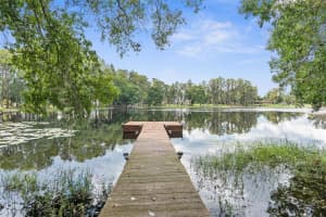 10507 HINDS PLACE, ODESSA, FL 33556 Sold 02/20/25