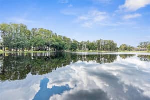 10507 HINDS PLACE, ODESSA, FL 33556 Sold 02/20/25