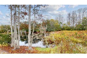 12626 TIMBERWOOD COURT, HUDSON, FL 34669 Sold 12/10/24