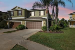 20216 WATER HICKORY PLACE, TAMPA, FL 33647 Sold 02/18/25