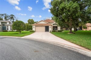 11377 KINGSTREE COURT, SPRING HILL, FL 34609 Sold 10/23/24