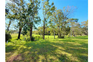 10616 MILLRIVER DRIVE, NEW PORT RICHEY, FL 34654 Sold 03/05/25