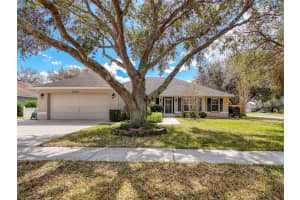 31248 SATINLEAF RUN, BROOKSVILLE, FL 34602 Sold 01/13/25