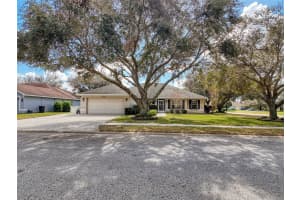 31248 SATINLEAF RUN, BROOKSVILLE, FL 34602 Sold 01/13/25