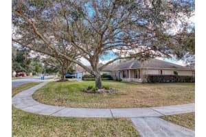 31248 SATINLEAF RUN, BROOKSVILLE, FL 34602 Sold 01/13/25
