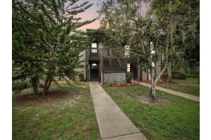 12025 PROCTOR LOOP, NEW PORT RICHEY, FL 34654 Sold 02/24/25
