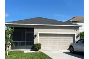 21118 PASSIVE PORCH DRIVE, LAND O LAKES, FL 34637 - MLS#MFRW7869176