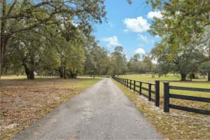13285 KINGFISHER ROAD, WEEKI WACHEE, FL 34614 Sold 01/21/25