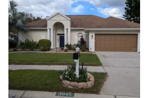 3045 REGAL OAKS BOULEVARD, PALM HARBOR, FL 34684 Sold 02/03/25