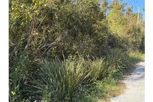 616 LAWRENCE AVENUE, WESLEY CHAPEL, FL 33544 - MLS#MFRW7869215