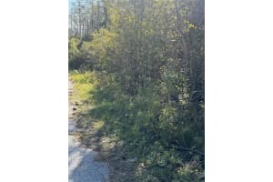 616 LAWRENCE AVENUE, WESLEY CHAPEL, FL 33544 - MLS#MFRW7869215