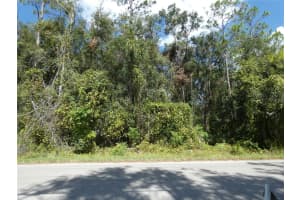 0 FAIRWINDS DRIVE, HUDSON, FL 34669 Sold 02/25/25