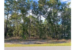 60 DAISY STREET, HOMOSASSA, FL 34446 Sold 06/10/25