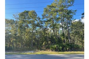 60 DAISY STREET, HOMOSASSA, FL 34446 Sold 06/10/25