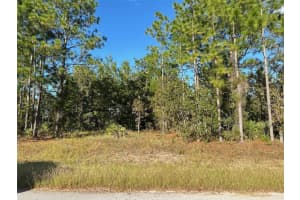11 POPPY STREET, HOMOSASSA, FL 34446 Sold 07/04/25