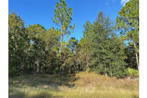 11 POPPY STREET, HOMOSASSA, FL 34446 Sold 07/04/25