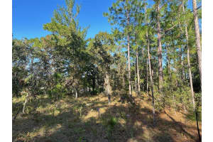 11 POPPY STREET, HOMOSASSA, FL 34446 Sold 07/04/25