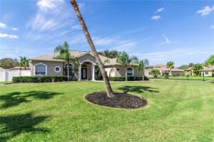 2655 SHIPSTON AVENUE, NEW PORT RICHEY, FL 34655 Sold 12/13/24