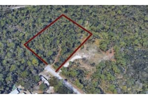 DETROIT AVE, HUDSON, FL 34667 - MLS#MFRW7869381