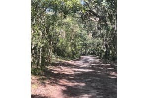 10383 CHEYENNE PASS, BROOKSVILLE, FL 34601 - MLS#MFRW7869414