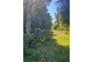 10383 CHEYENNE PASS, BROOKSVILLE, FL 34601 - MLS#MFRW7869414