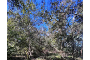 10383 CHEYENNE PASS, BROOKSVILLE, FL 34601 - MLS#MFRW7869414