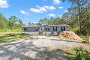 3231 ALABAMA AVENUE, HOMOSASSA, FL 34448 Sold 06/10/25