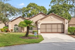 6805 PLUMLEAF COURT, SPRING HILL, FL 34606 Sold 11/27/24