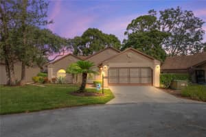 6805 PLUMLEAF COURT, SPRING HILL, FL 34606 Sold 11/27/24