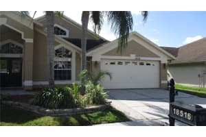 18516 AVOCET DRIVE, LUTZ, FL 33558 Sold 04/25/25