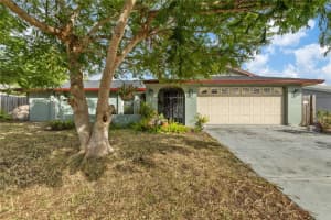 3648 COCKATOO DRIVE, NEW PORT RICHEY, FL 34652 Sold 12/02/24