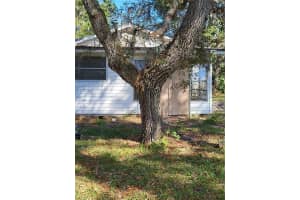 9305 Kiowa Dr, NEW PORT RICHEY