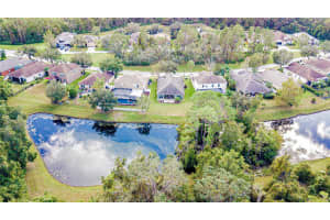 11231 BELLE HAVEN DRIVE, NEW PORT RICHEY, FL 34654 Sold 06/02/25