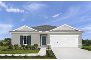 131 BORLAND STREET, BROOKSVILLE, FL 34604 Sold 12/30/24