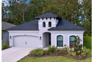 11389 WEAVER HOLLOW ROAD, NEW PORT RICHEY, FL 34654 Sold 04/24/25