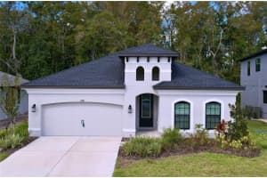 11389 WEAVER HOLLOW ROAD, NEW PORT RICHEY, FL 34654 Sold 04/24/25