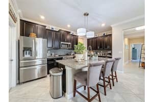 17046 BALANCE COVE, LAND O LAKES, FL 34638 Sold 02/14/25
